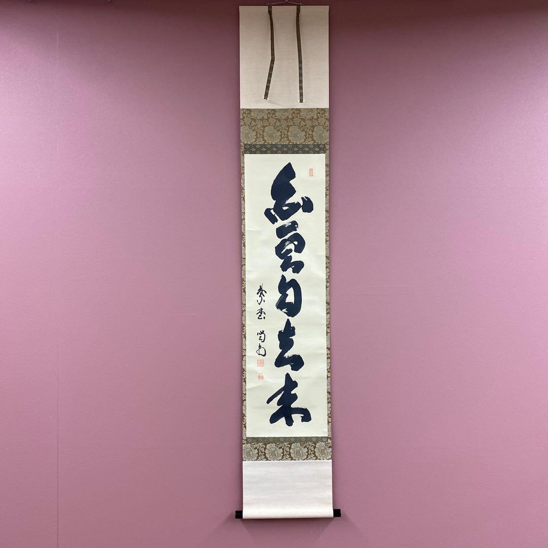 美品 掛け軸 大徳寺塔頭龍源院 細合喝堂作「白雲自去来」共箱 禅語 茶掛け