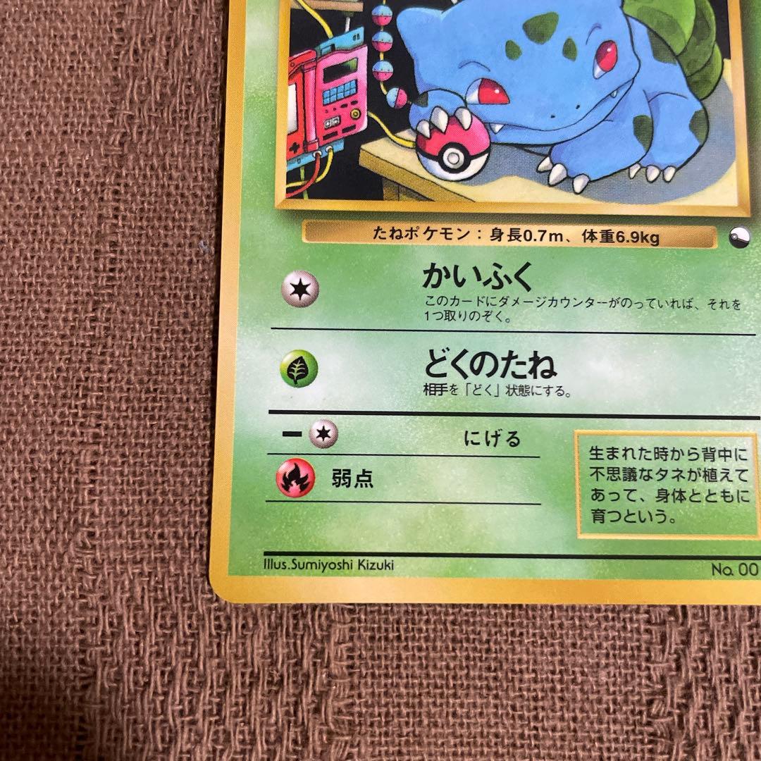 ポケモン　旧裏　フシギダネ　ヒトカゲ 拡張シート