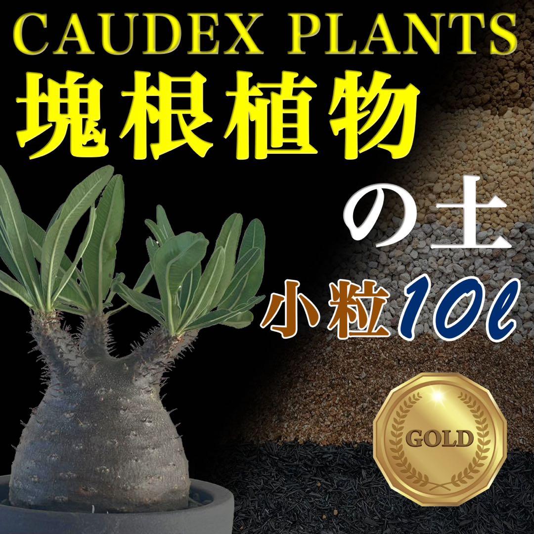 塊根植物の土Gold小粒10㍑培養土　パキポディウム・アデニウム等　グラキリス