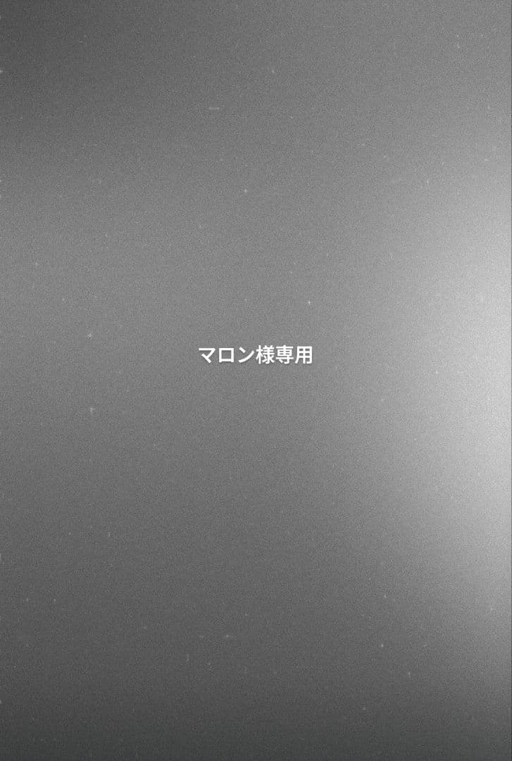 [即実発送]CHANEL iPhone15専用ハードケース ホワイト