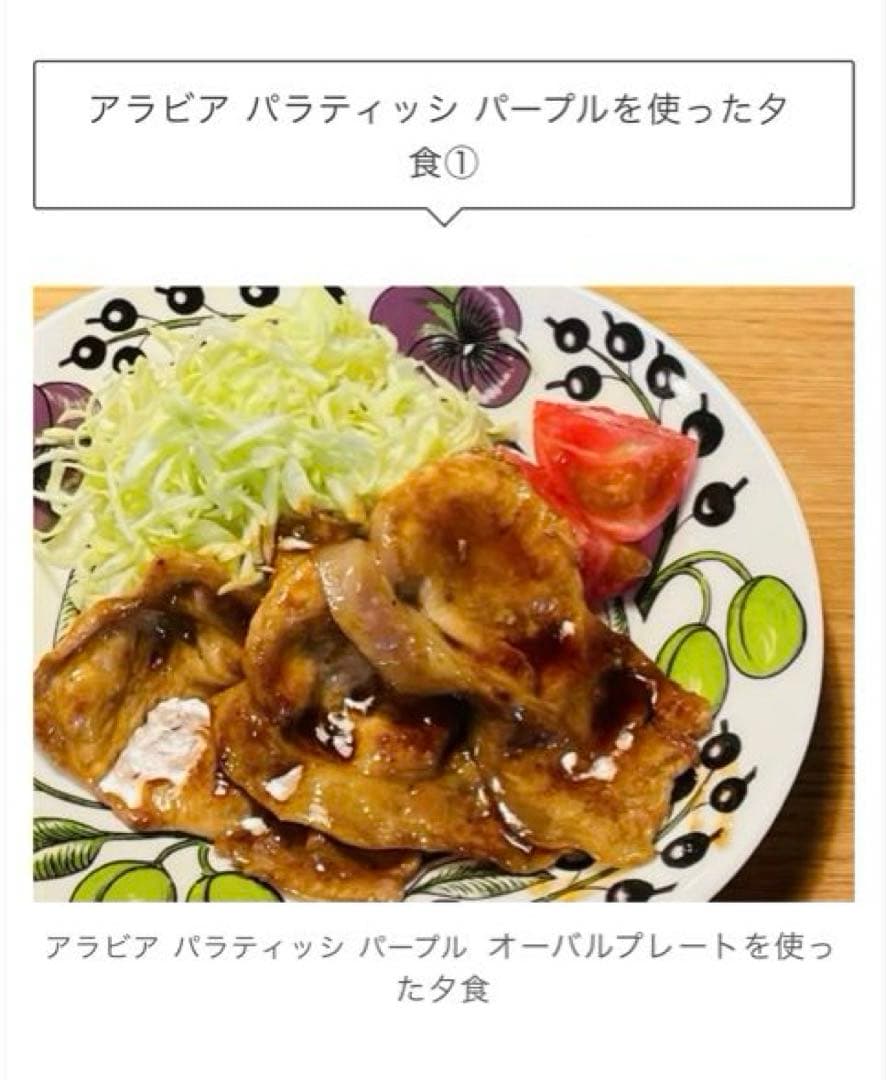 【ARABIA北欧】パラティッシ パープル26cm プレート 2枚セット