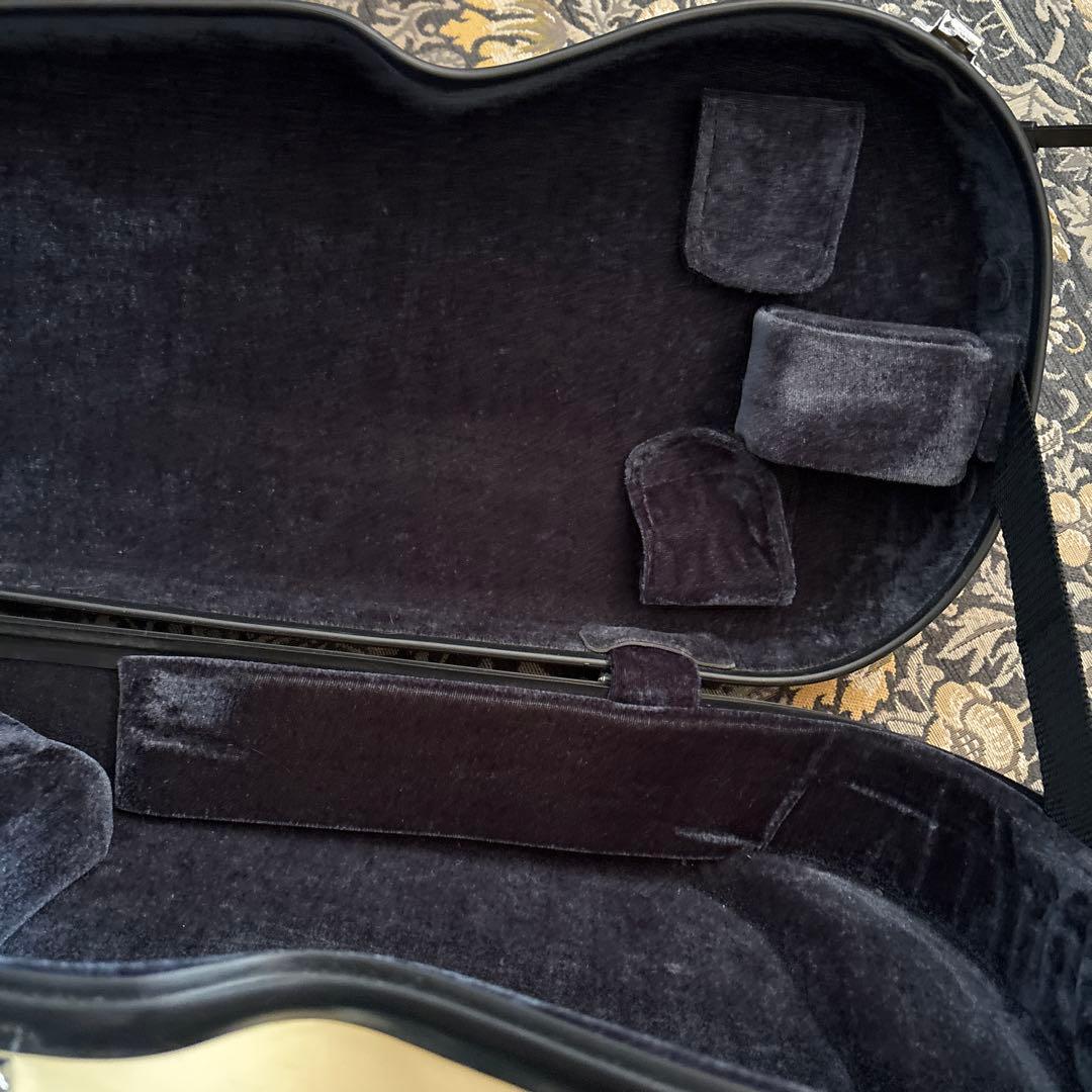 イーストマン バイオリンケース　Andreas Eastman