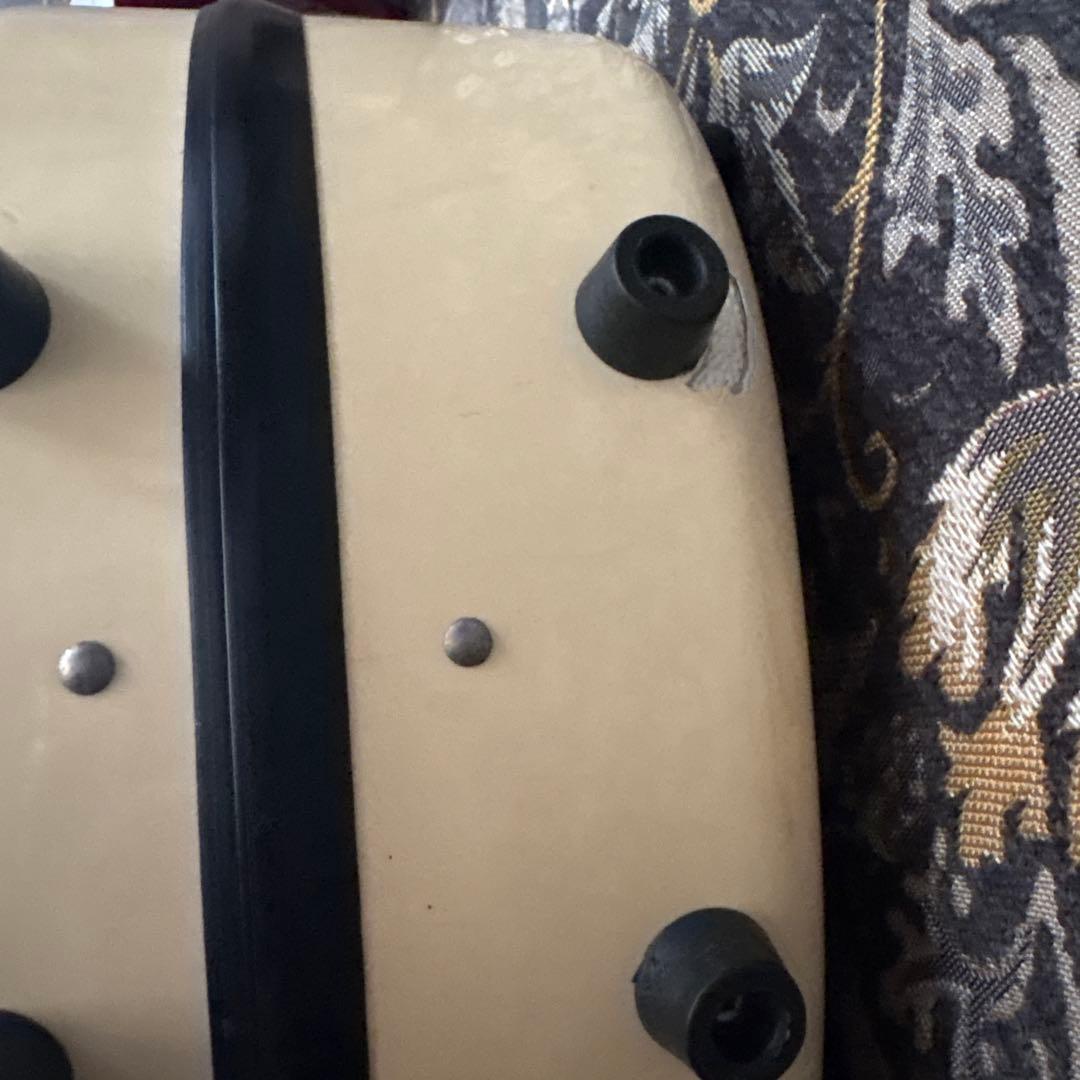 イーストマン バイオリンケース　Andreas Eastman