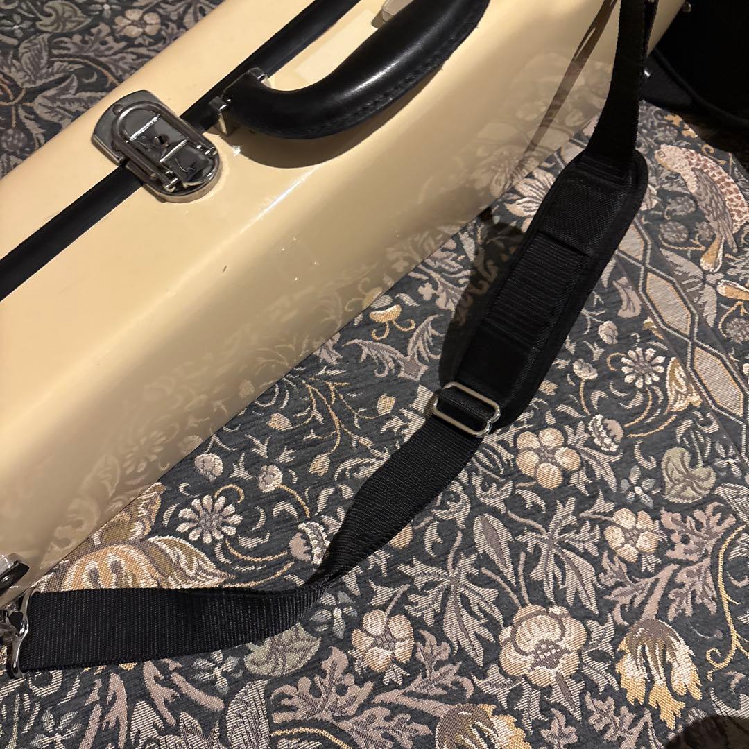 イーストマン バイオリンケース　Andreas Eastman