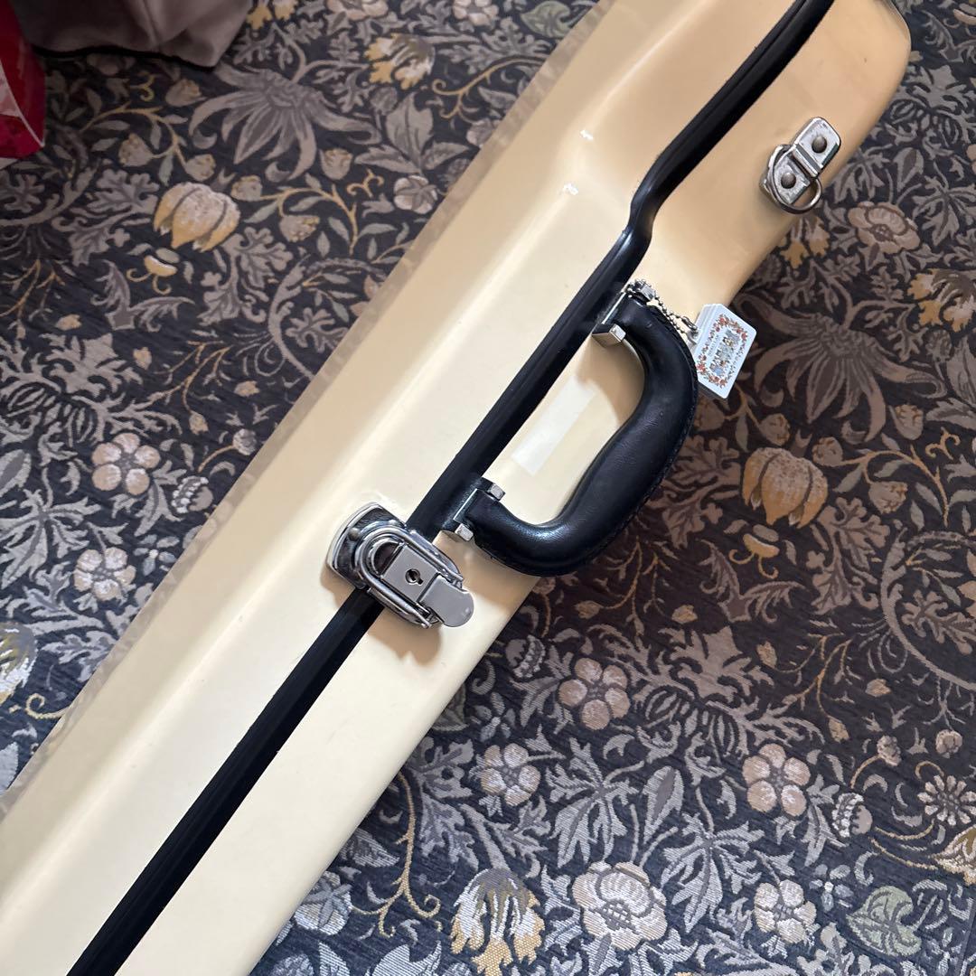 イーストマン バイオリンケース　Andreas Eastman