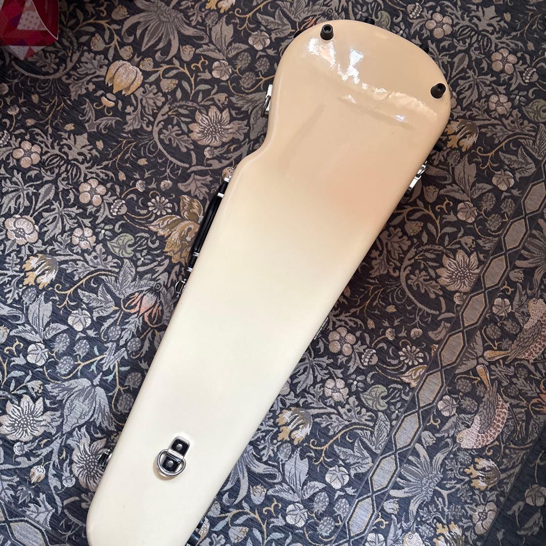 イーストマン バイオリンケース　Andreas Eastman