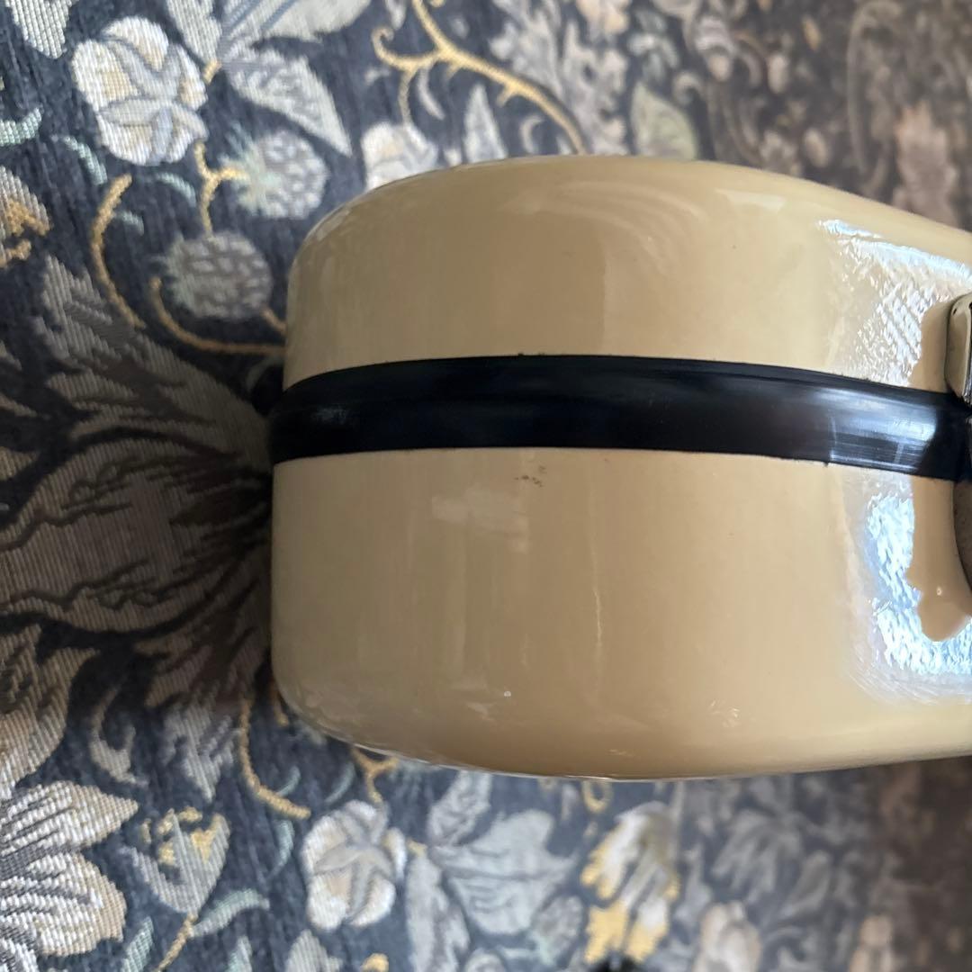 イーストマン バイオリンケース　Andreas Eastman