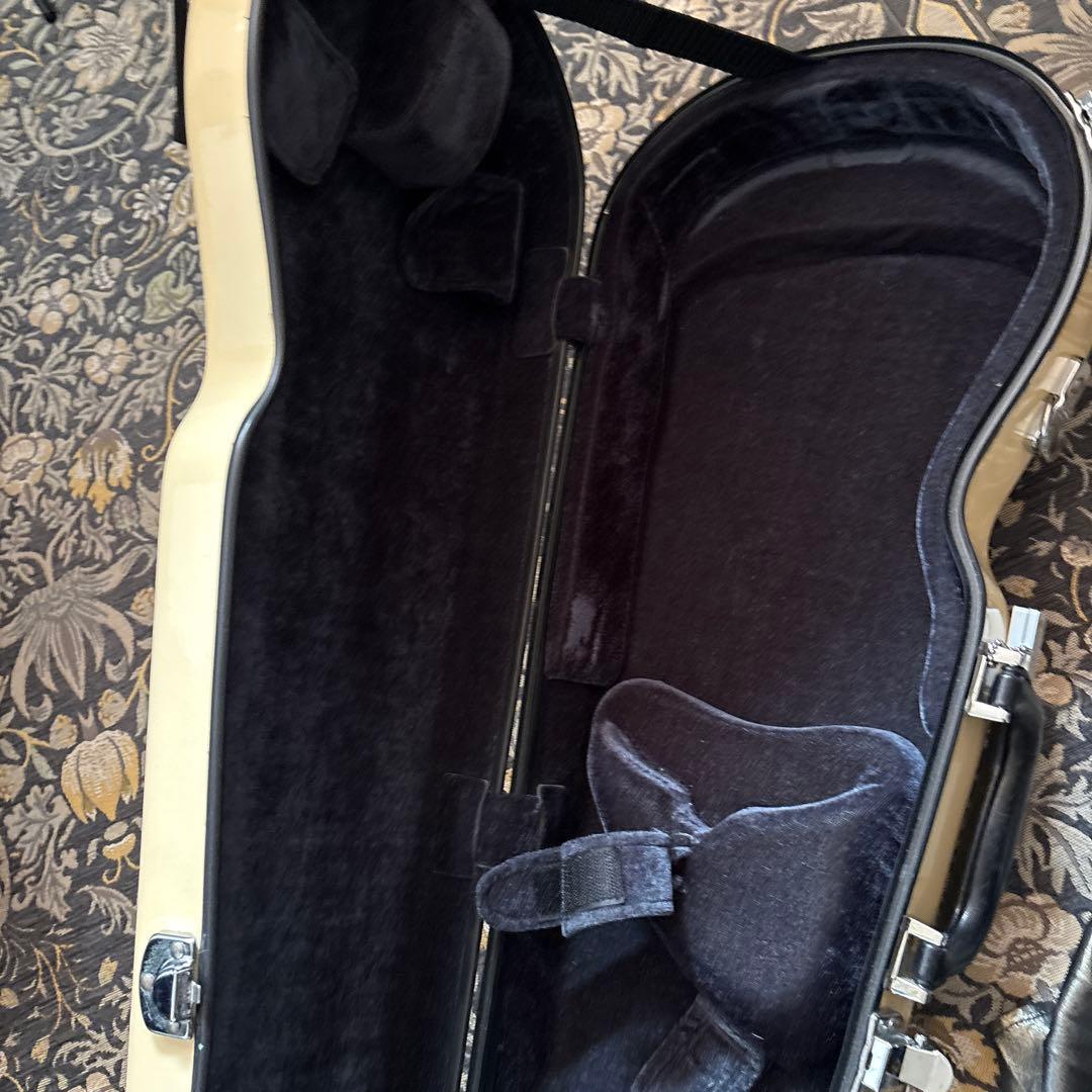 イーストマン バイオリンケース　Andreas Eastman