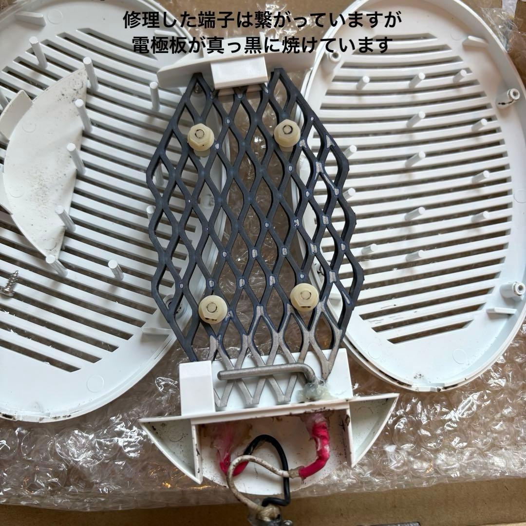 ひろたん品