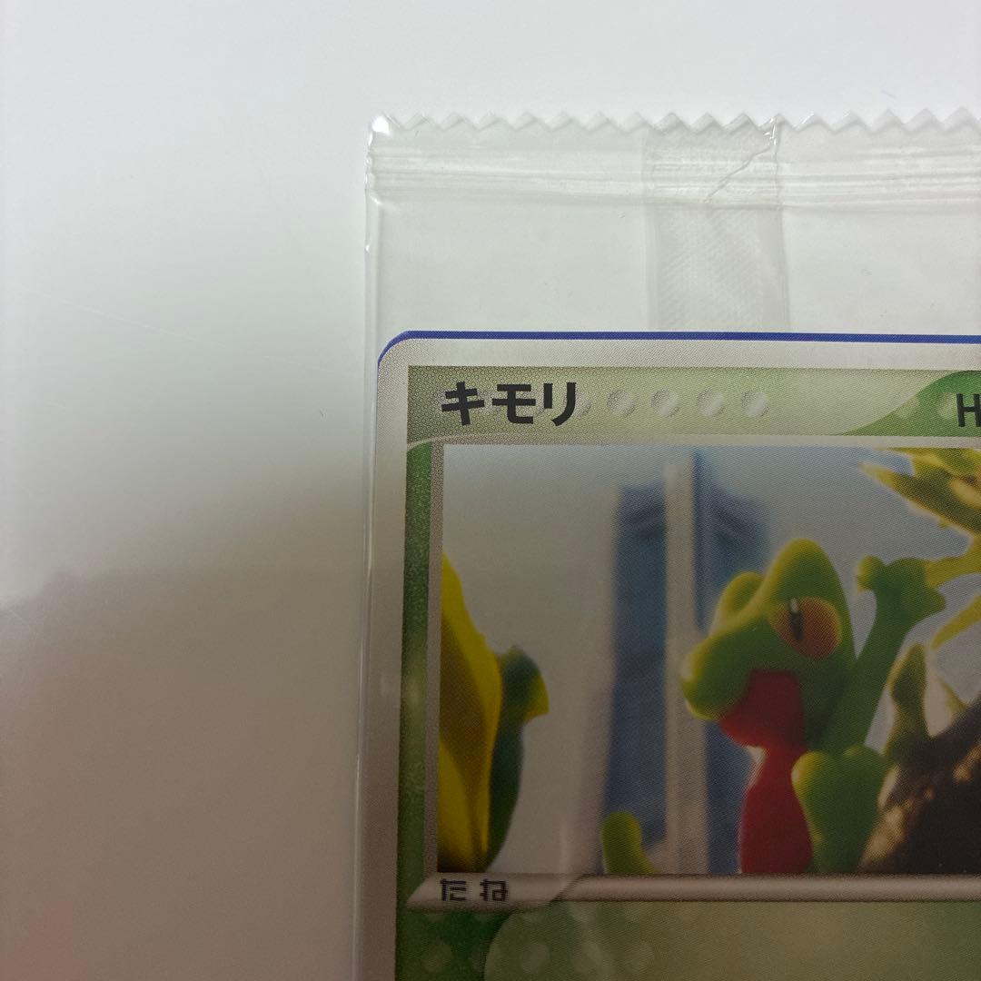 ポケモンカード　キモリ　未開封品　ポケモンセンターヨコハマ　オープン記念