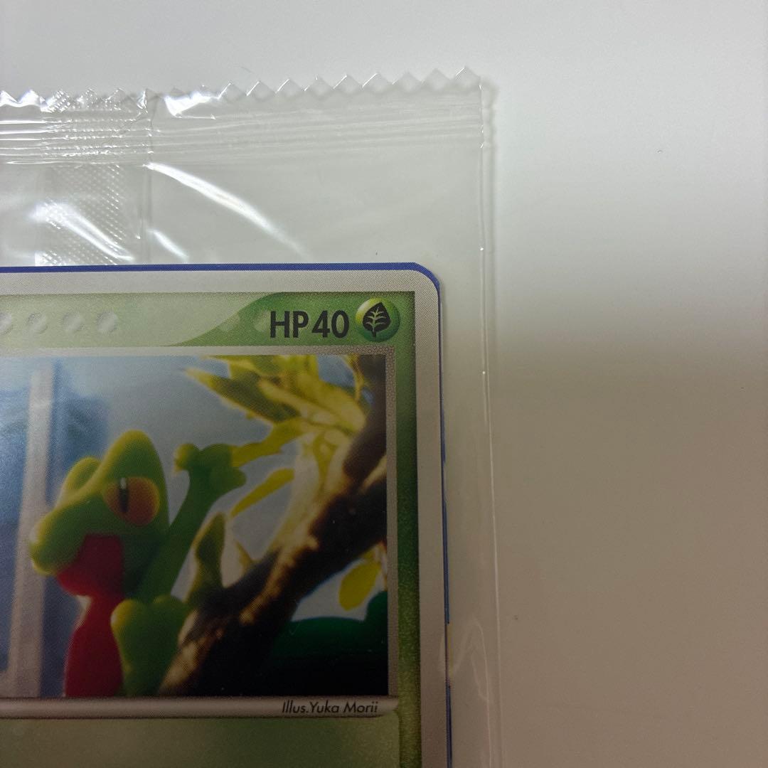 ポケモンカード　キモリ　未開封品　ポケモンセンターヨコハマ　オープン記念