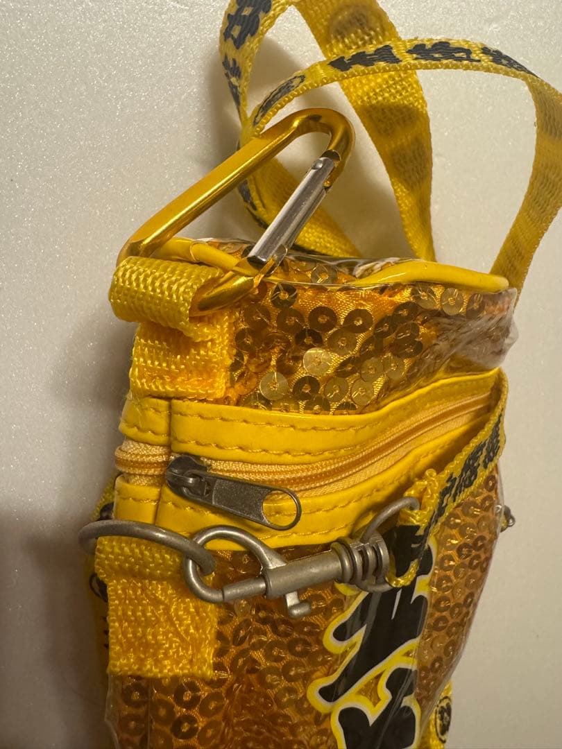 お値下げ 【動作確認済】 ももクロ ペンライト サイリウム ケース 印籠バッグ付