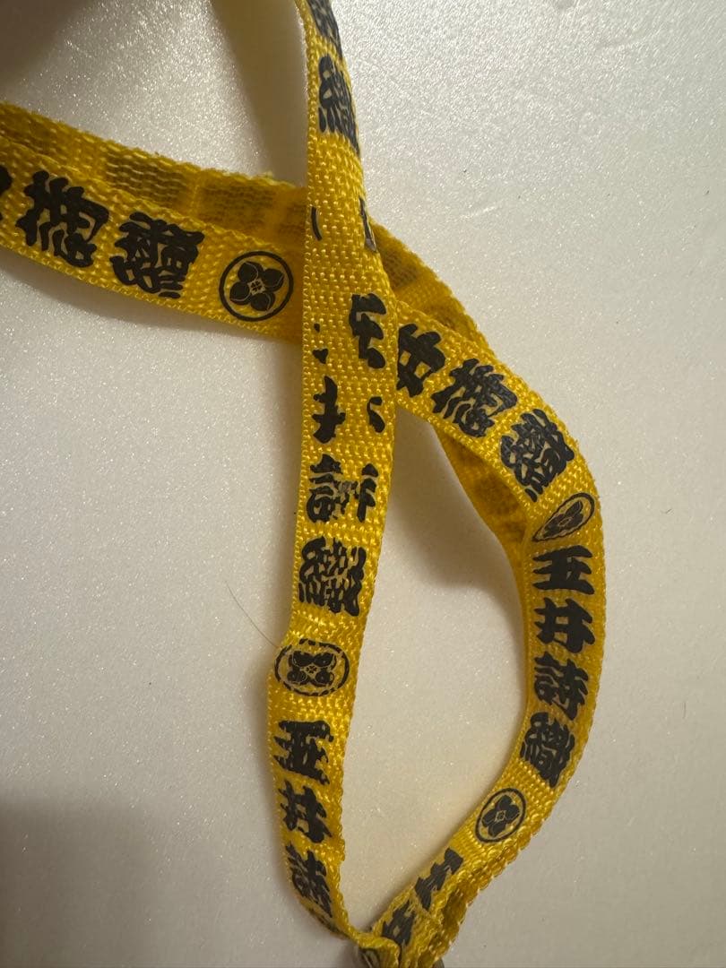 お値下げ 【動作確認済】 ももクロ ペンライト サイリウム ケース 印籠バッグ付