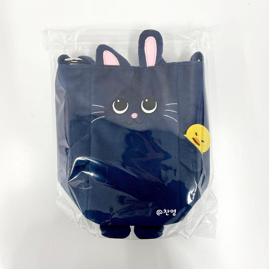 RIIZE 東京ドーム ファンライトバッグ うちわホルダー ウォンビン