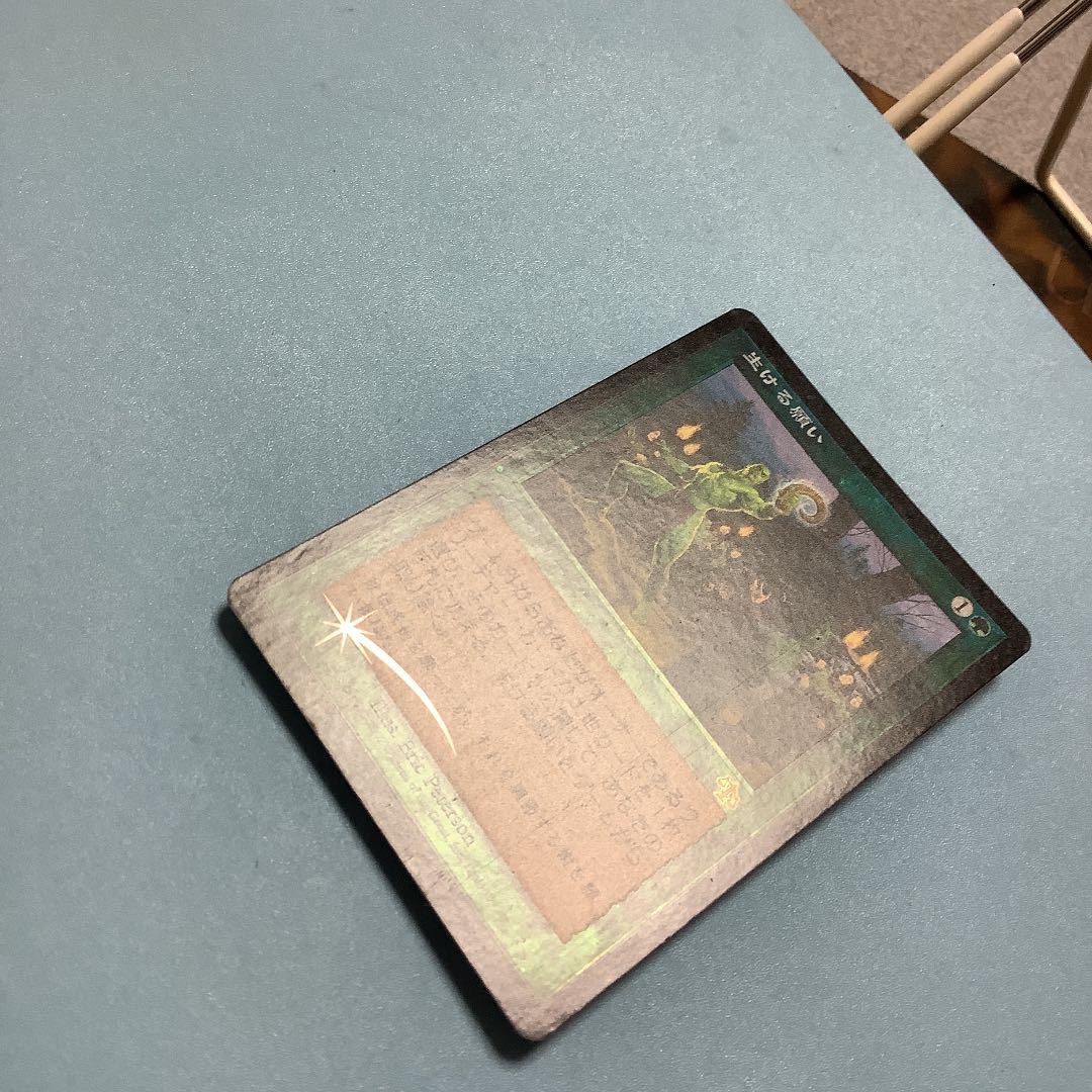 生ける願い/Living Wish  JUD日本語foil