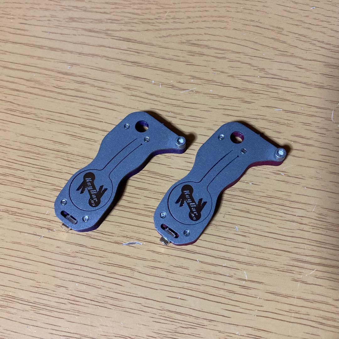 KerBar Flashlight Insert パープル/マゼンタ 1個