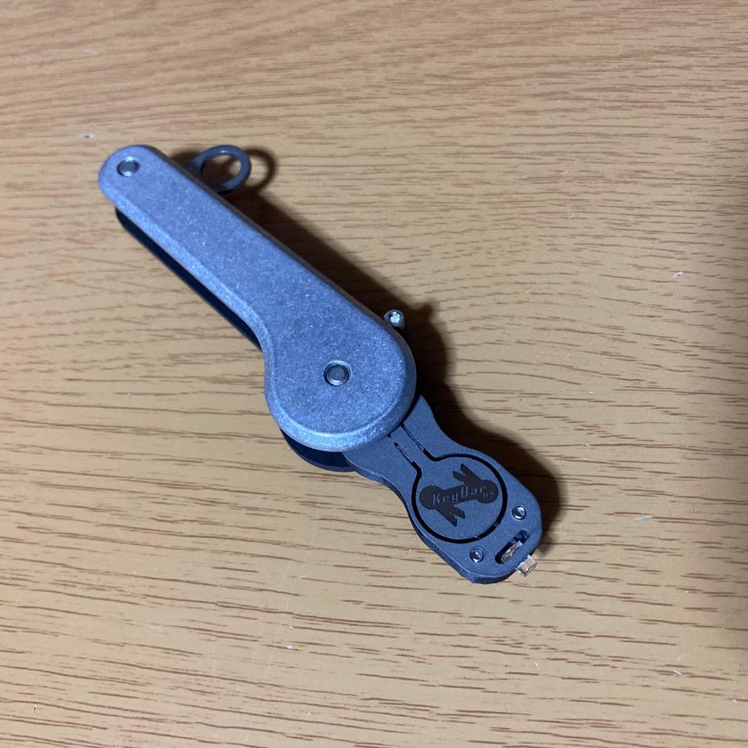 KerBar Flashlight Insert パープル/マゼンタ 1個