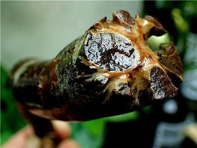 2点商品まとめて専用ページ