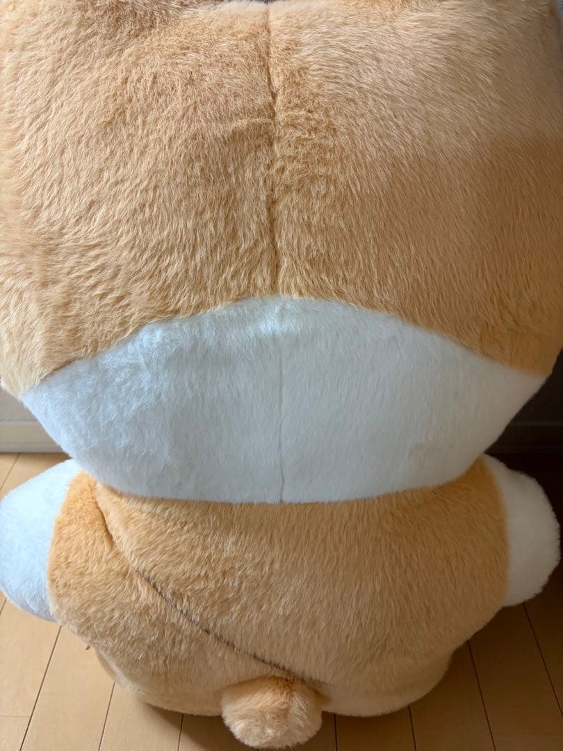 EXO ベッキョン　トレギ　大王トレギ