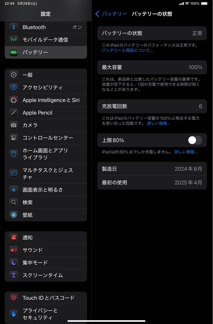 【極美品】iPad mini A17 Pro 256GB セルラーモデル