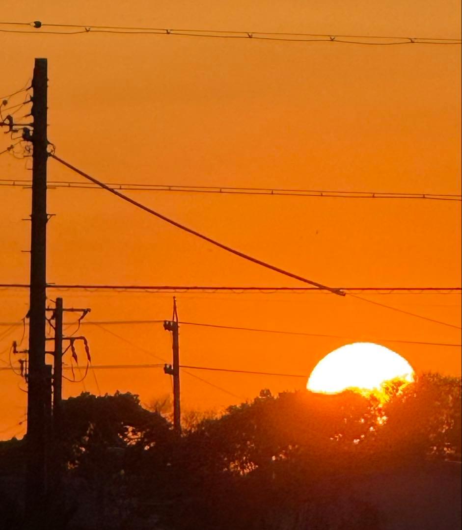 [cedesjen]HONOR V PURSE 16+256 [美品]