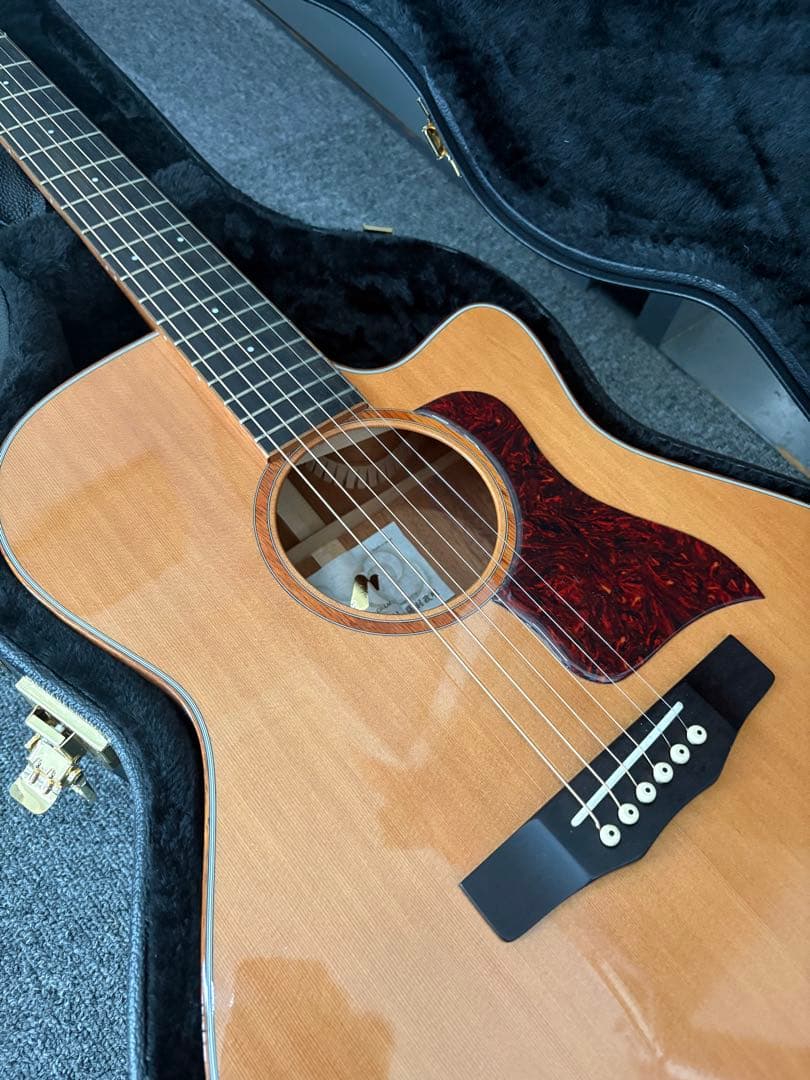 Morris sc61 HAND MADE PREMIUMモーリス【お得/良音】