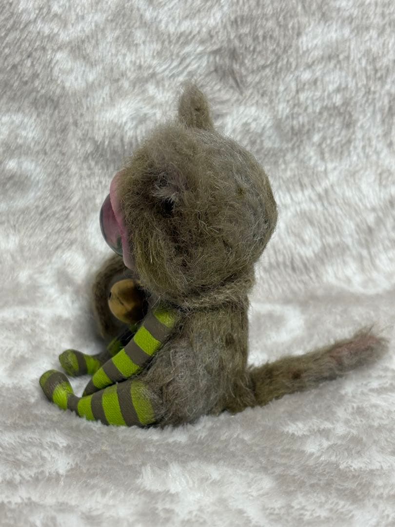 その他 Tiny gray kitten - cyclops