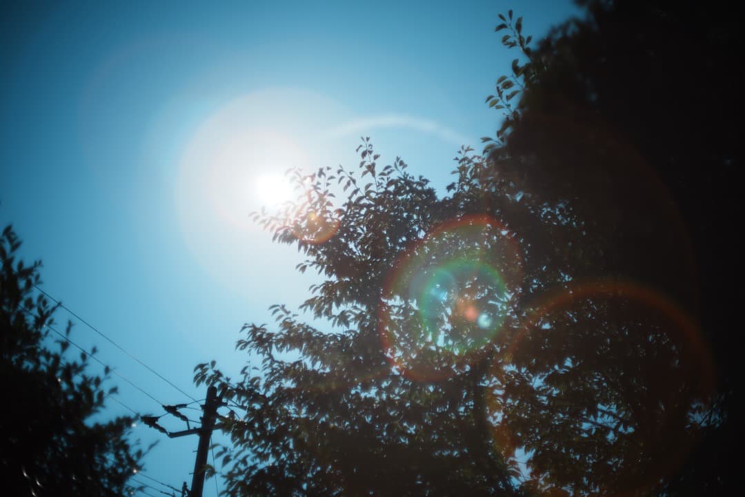 希少8枚玉 ペンタックス Super Takumar 50mm F1.4 530