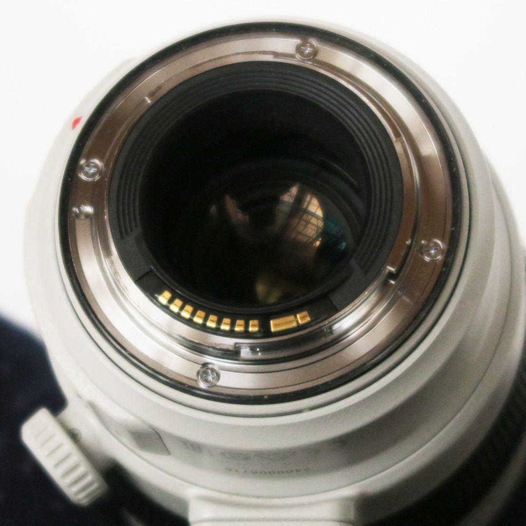 EF100-400mm F4.5-5.6L ISⅡ　USM