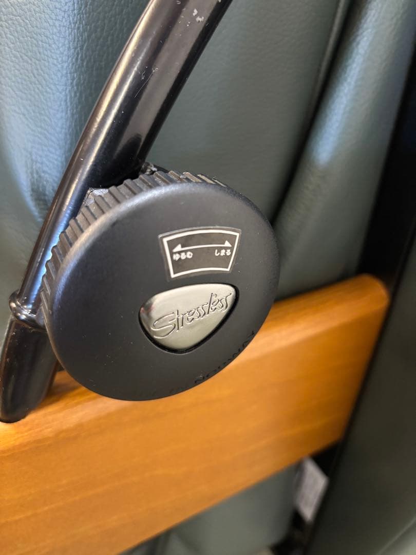 エコーネス　ストレスレスチェア　総本革　パーソナルチェア　オットマンなし