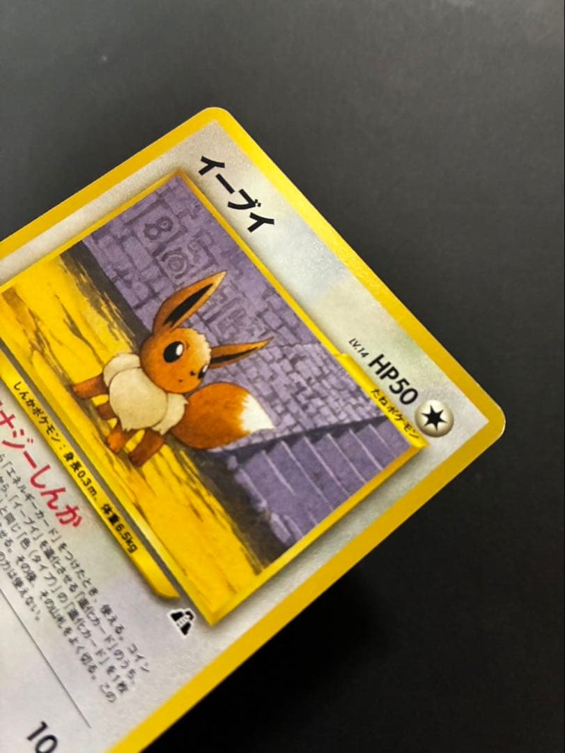 ポケモンカード ブラッキー エーフィ イーブイ プレミアムファイル 3枚セット