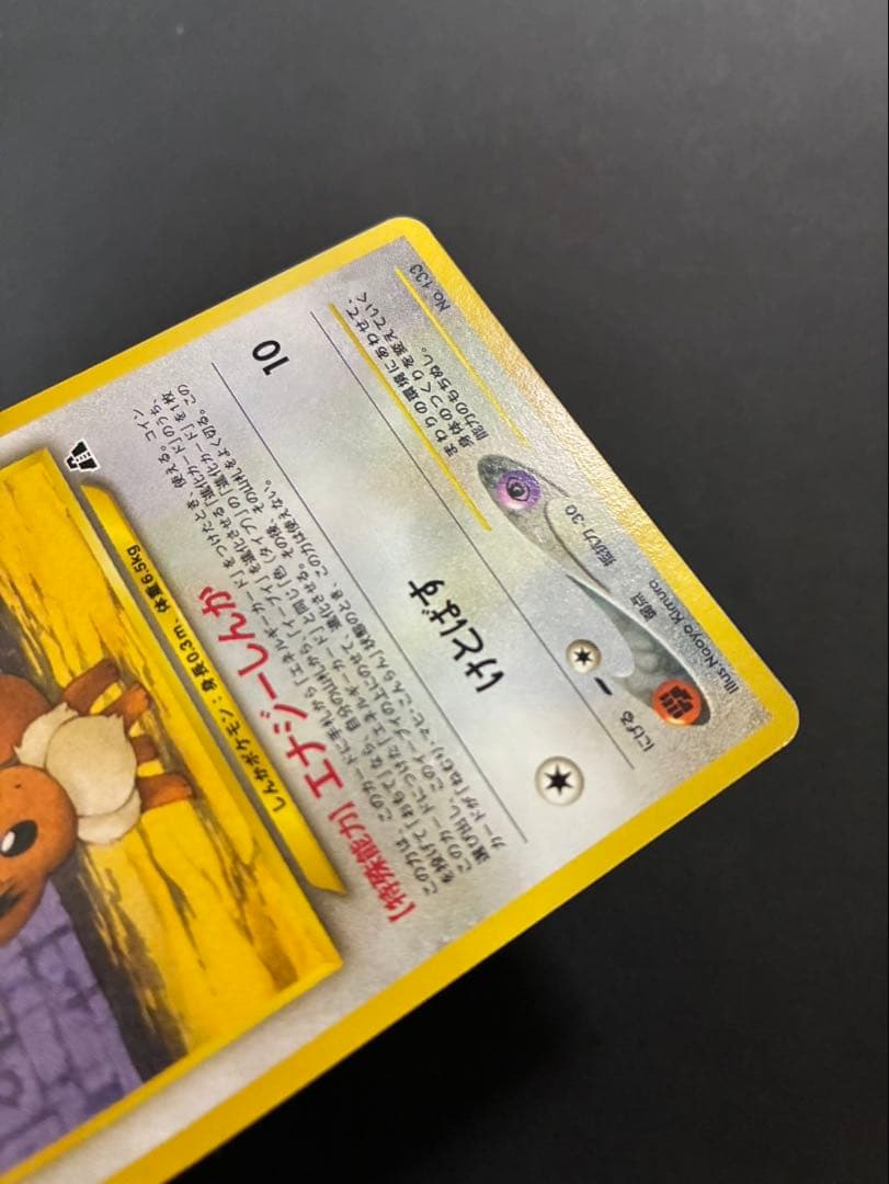 ポケモンカード ブラッキー エーフィ イーブイ プレミアムファイル 3枚セット
