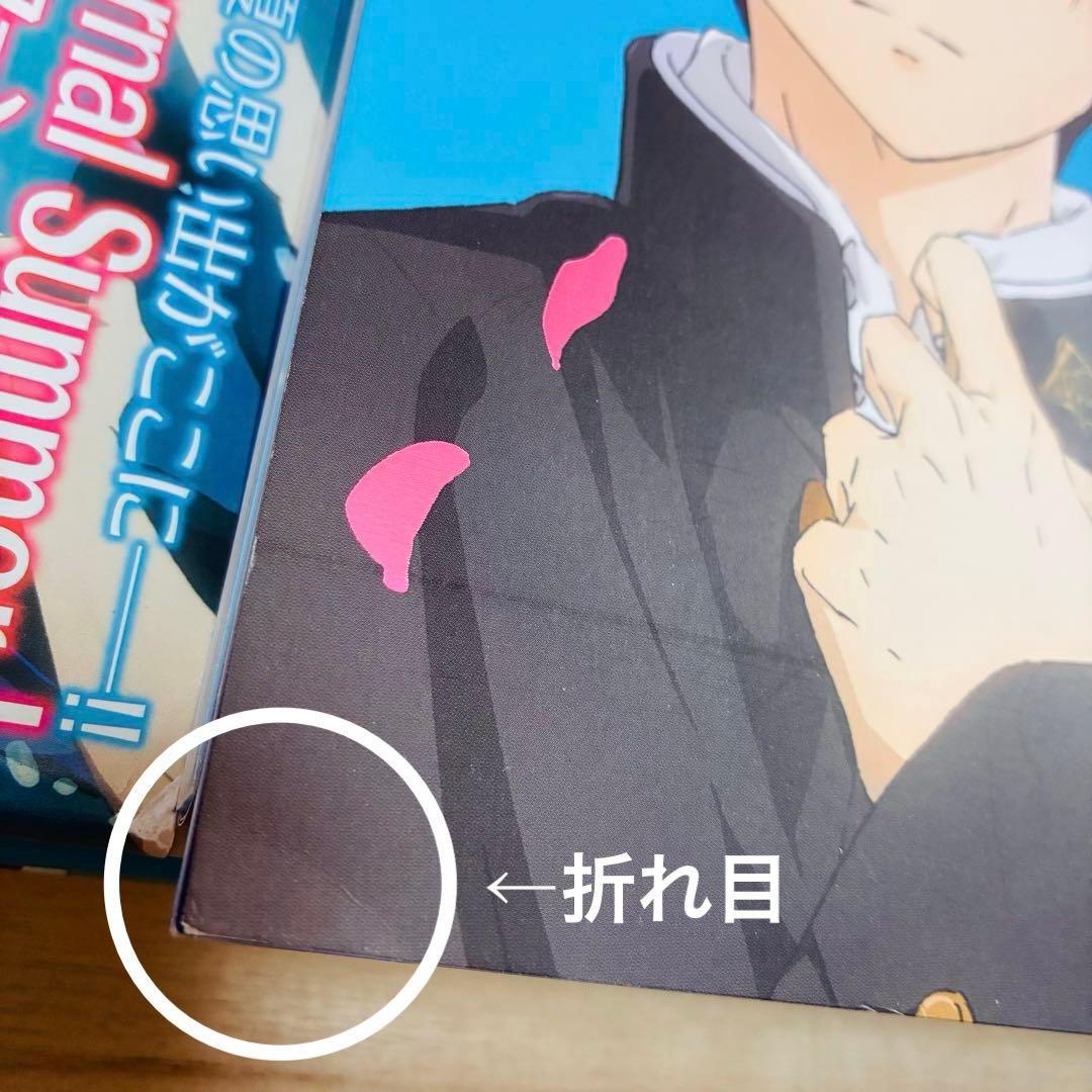 【8点】Free! 公式ファンブック ファイル イラストレーションワークス