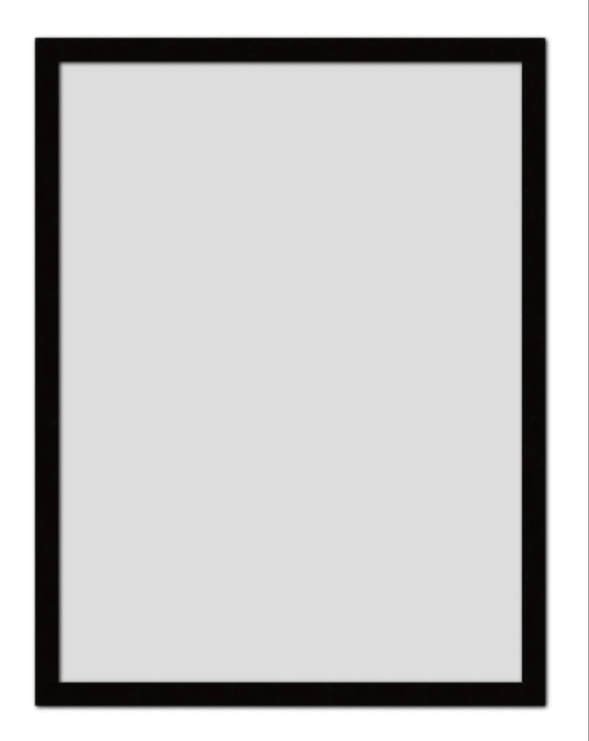 デッドストック正規品Cy Twombly サイトゥオンブリー 特徴額装済ポスター