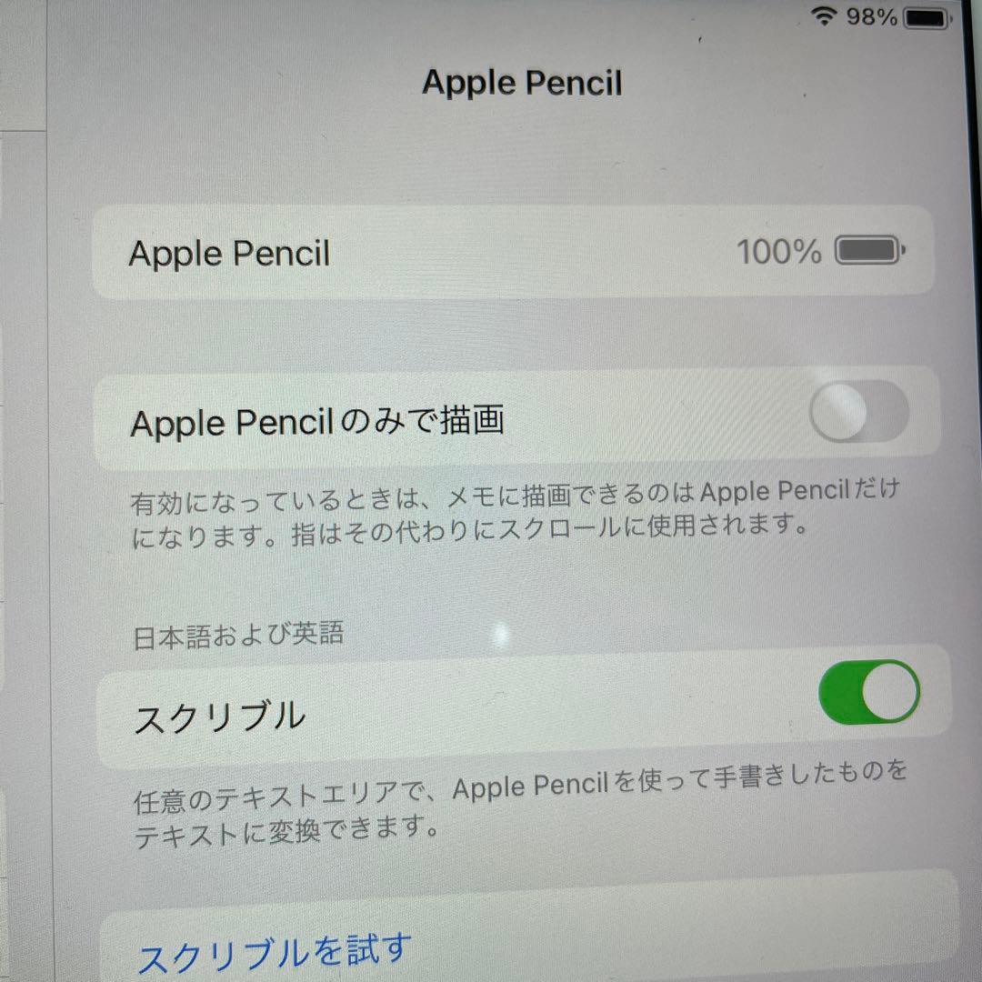 Apple Pencil (第1世代) ホワイト　A1603　おまけ付き