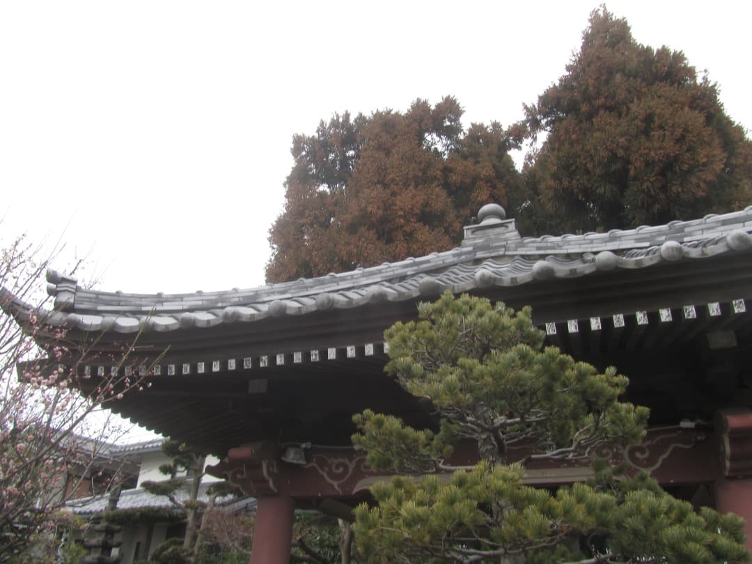 【動作確認済】Canon PowerShot SX210 IS PC1468