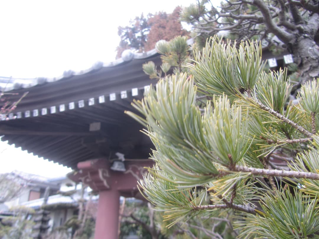 【動作確認済】Canon PowerShot SX210 IS PC1468