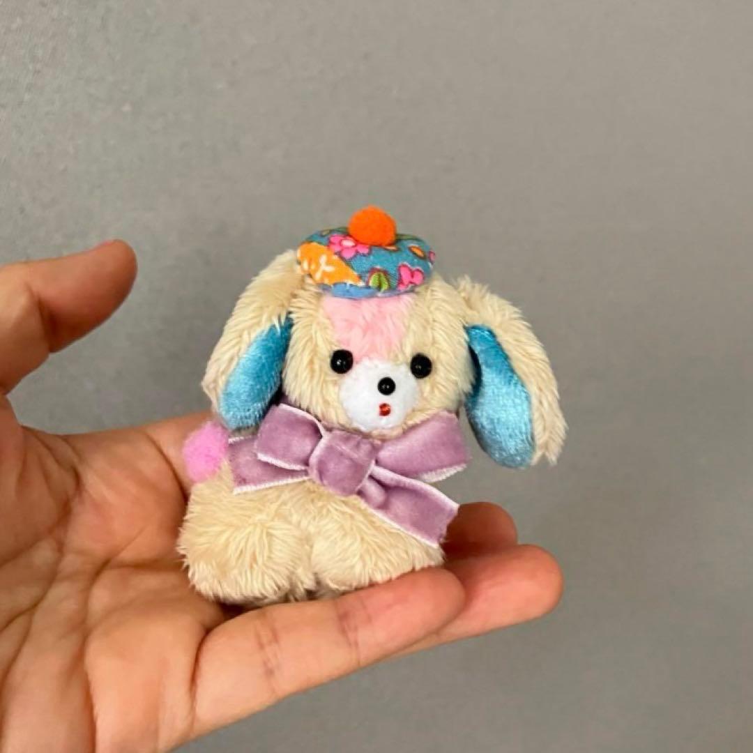 くり　もじゃ犬　うたたね　白オレンジ