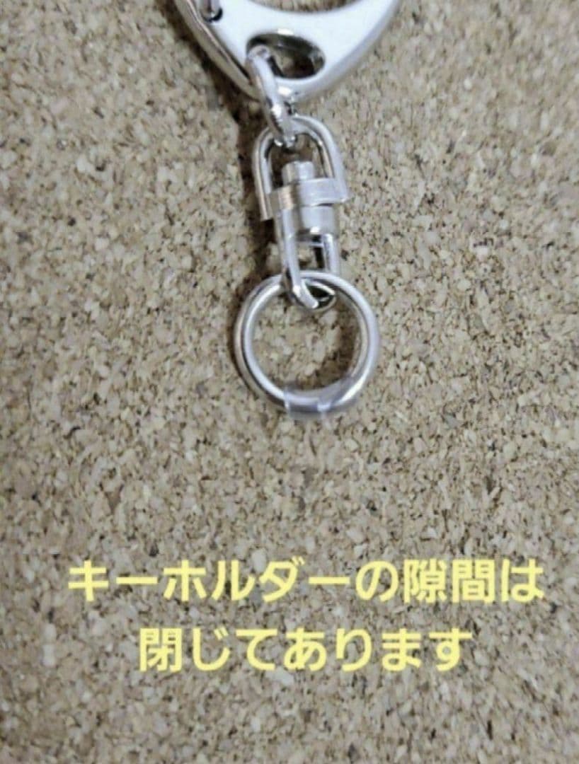 柴犬・トイプードル（茶）・ラグドール・キジトラ・黒ネコ　キーホルダー(大)　5点