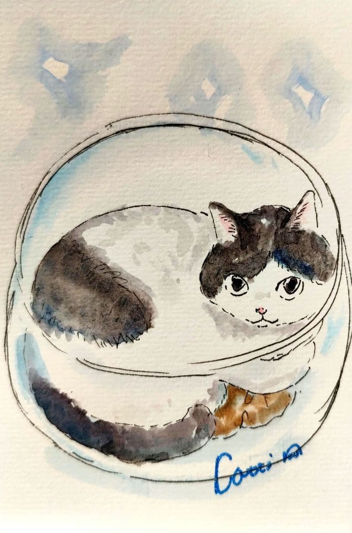 にゃっち様確認ページ