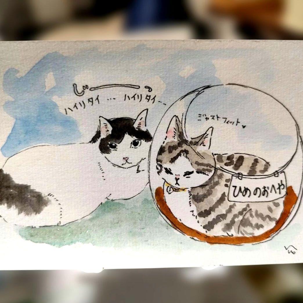 にゃっち様確認ページ
