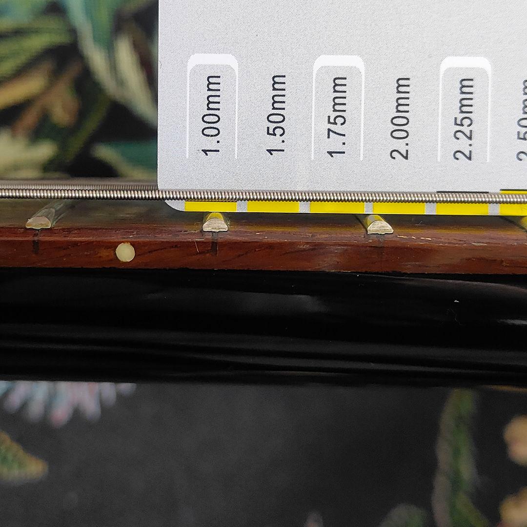 リッケンバッカー 325 コピーモデル Rickenbacker