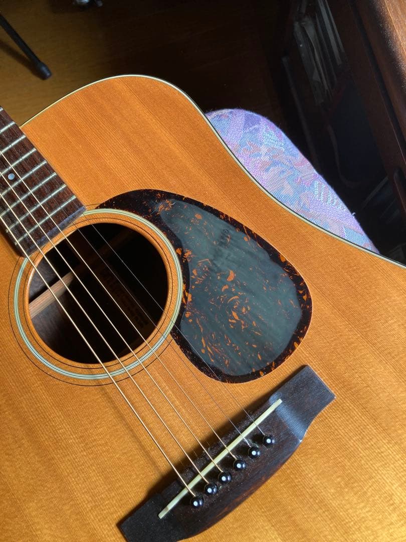 ギター cat's eyes CE 700S