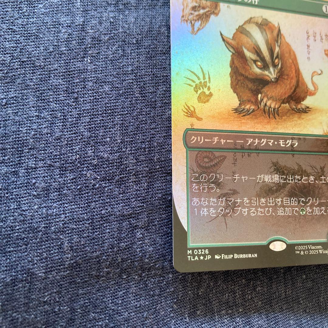 アナグマモグラの仔 日本語　ボーダレス　foil