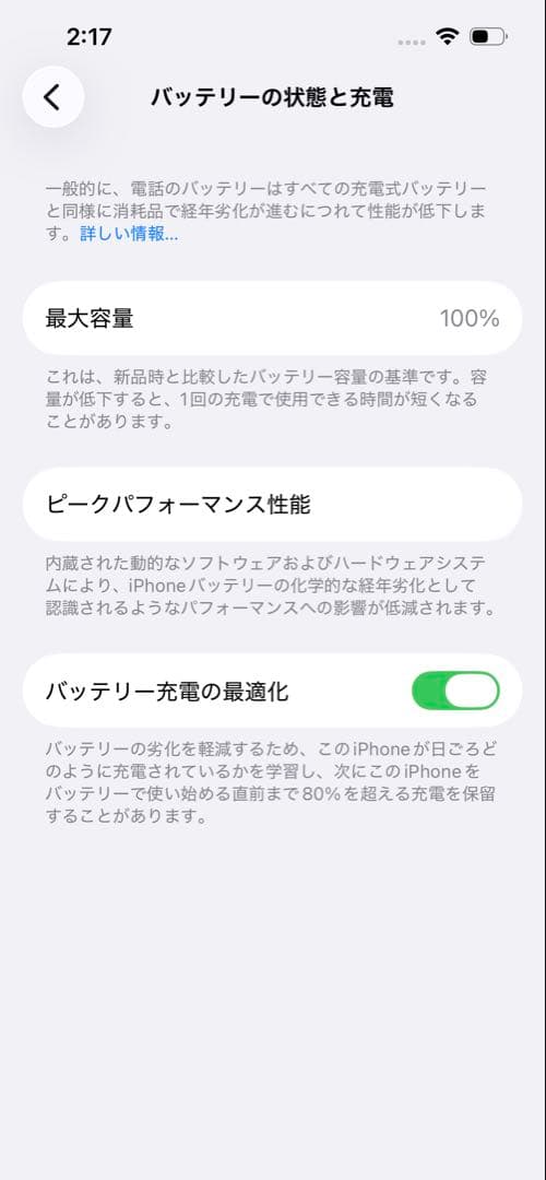 新品 バッテリー100% iPhone13Pro 256GB シエラブルー