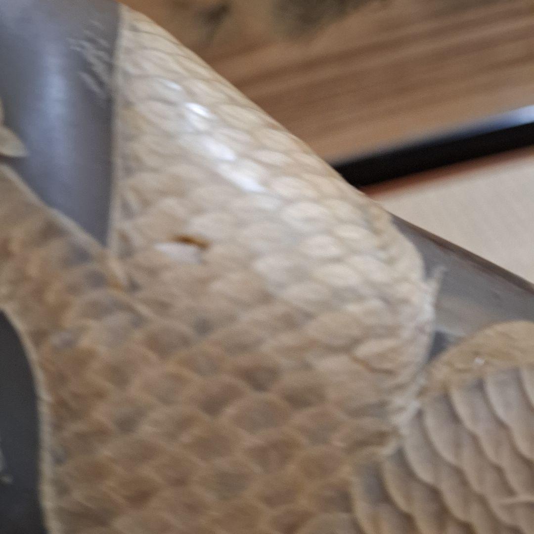 水牛っぽい角　アンティーク