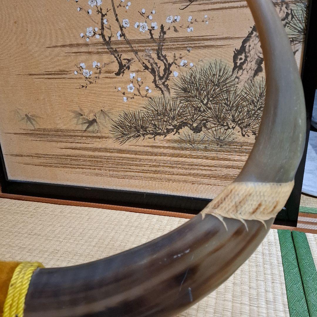 水牛っぽい角　アンティーク