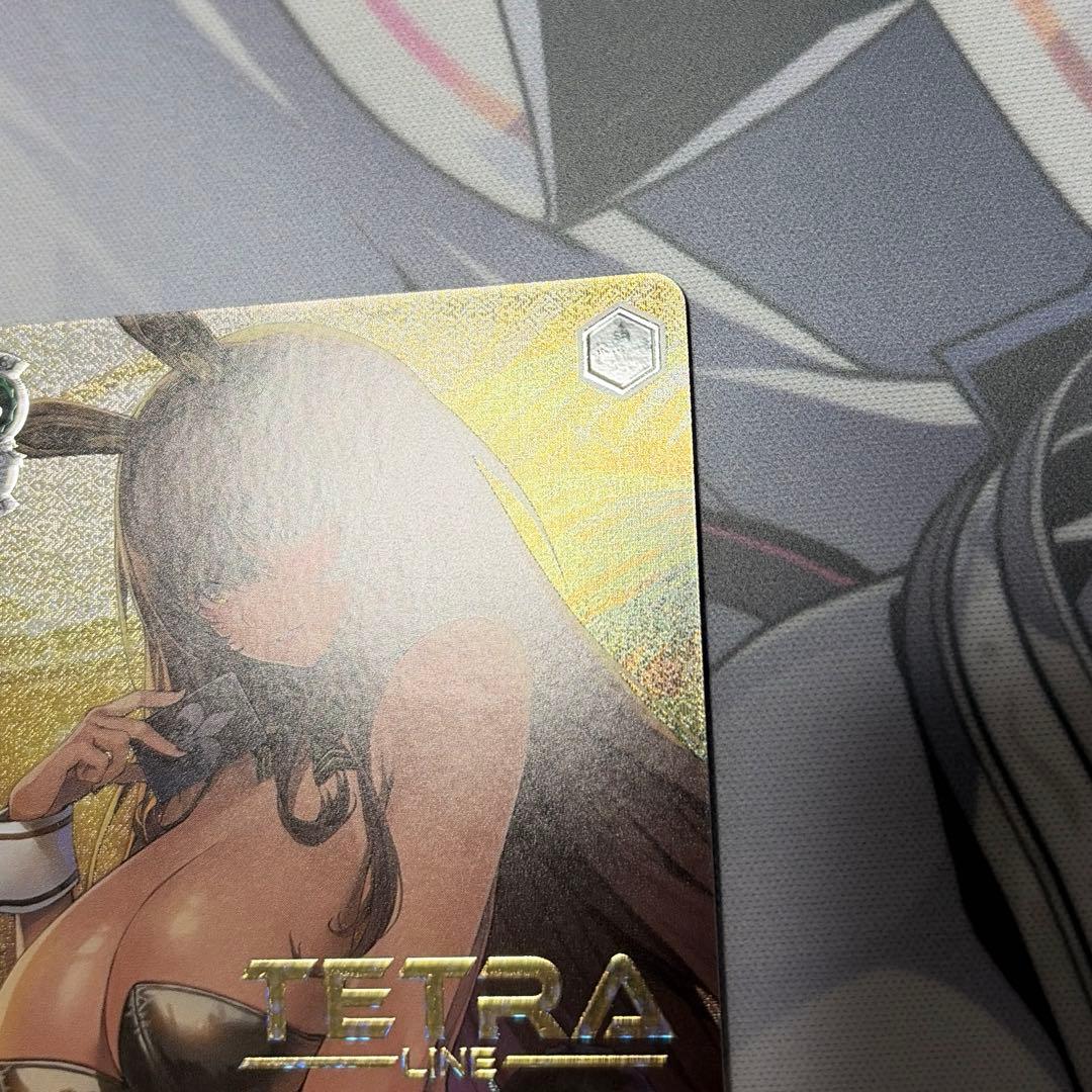 【今月限定】美品　“フィナーレ”ノワール SSP 箔押し ヴァイスシュヴァルツ