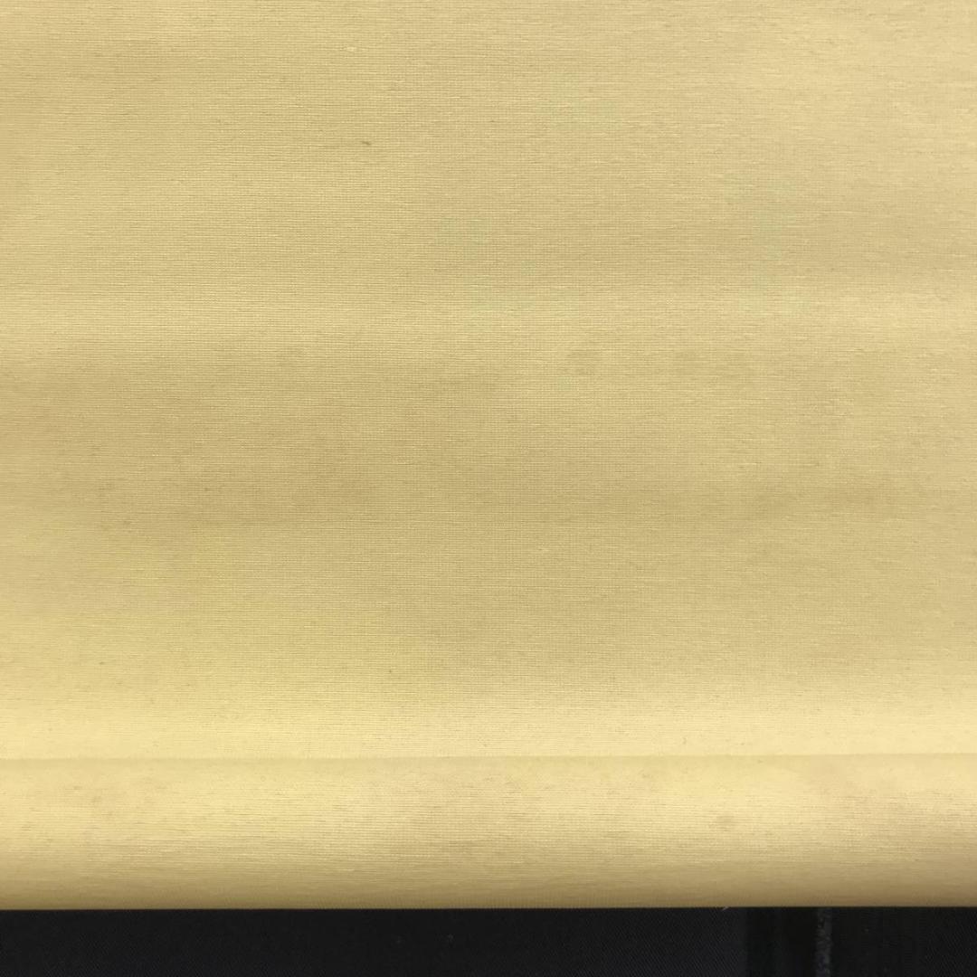 真作/佐藤古岫/南極老人図/寿老人図/人物図/横物/掛軸/名家伝来AE-287