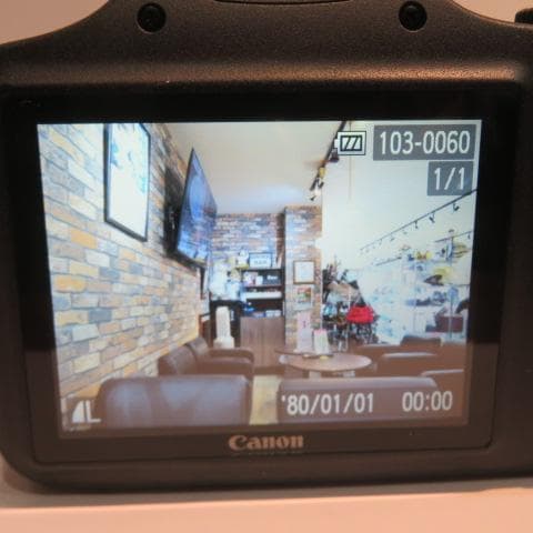 【美品】Canon PowerShot SX530HS デジタル一眼レフ